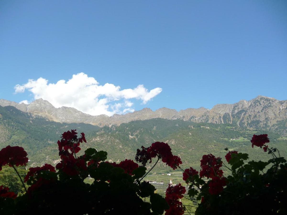 Ferienwohnungen Obermoarhof Lagundo Εξωτερικό φωτογραφία